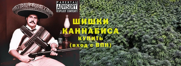 ГАЛЛЮЦИНОГЕННЫЕ ГРИБЫ Богданович