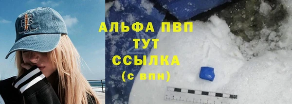 ГАЛЛЮЦИНОГЕННЫЕ ГРИБЫ Богданович