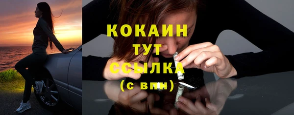 СК Бородино