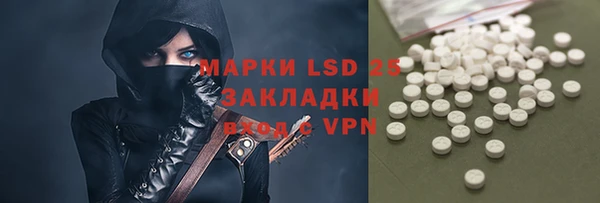 ГАЛЛЮЦИНОГЕННЫЕ ГРИБЫ Богданович
