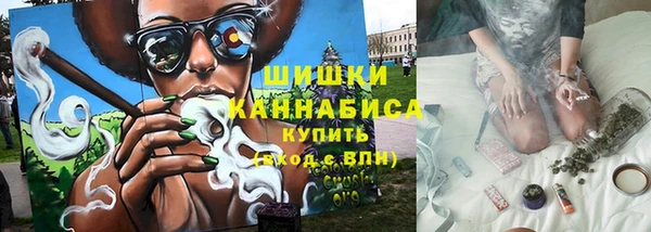 ГАЛЛЮЦИНОГЕННЫЕ ГРИБЫ Богданович