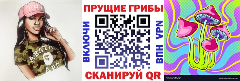 Купить  Северо-Курильск  Псилоцибиновые грибы MAGIC MUSHROOMS 